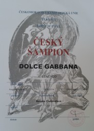 Český Šampion